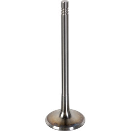 FEBI BILSTEIN 181076 Einlassventil FEBI BILSTEIN 181076 Einlassventil