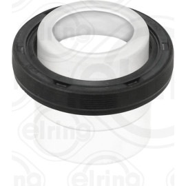 Dichtring 523.650
