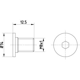 Schraube, Bremsscheibe 8DZ 355 209-021 Schraube, Bremsscheibe 8DZ 355 209-021