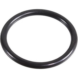 Dichtring 2430059