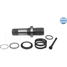 Steckwelle, Differential 100 498 0243 Steckwelle, Differential 100 498 0243