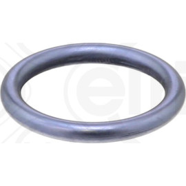 Dichtring 074.870