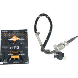 Sensor, Abgastemperatur 707512