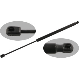 Gasfeder, Koffer-/Laderaum 34431