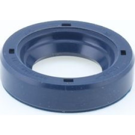 Dichtring 12010808B