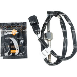 Sensor, Abgastemperatur 707505