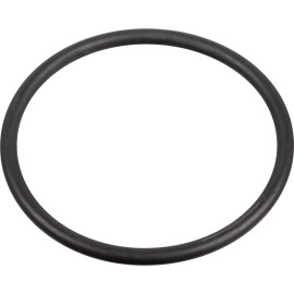 FEBI BILSTEIN 172666 Dichtung, Kraftstoffpumpe