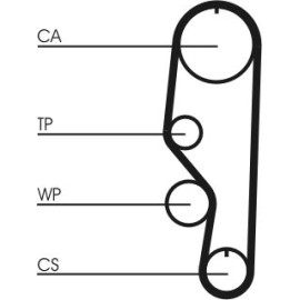 Zahnriemen CT557