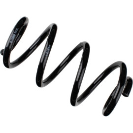 Fahrwerksfeder 36-250080