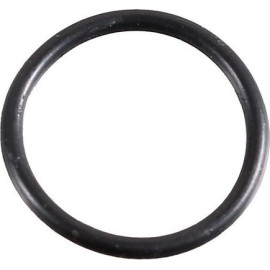 Dichtring 2430053