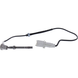 Sensor, Abgastemperatur 368884