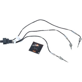 Sensor, Abgastemperatur 707385
