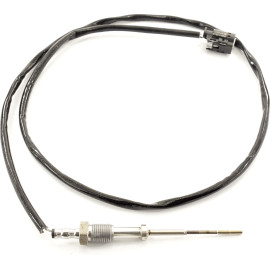 Sensor, Abgastemperatur 9 8098 1