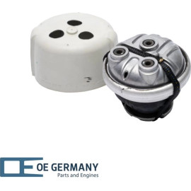 Motorlager für MERCEDES BENZ S KLASSE SL W220 C215 W221 220 240 09 17 OEGERMANY