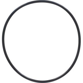 Dichtring 794.570
