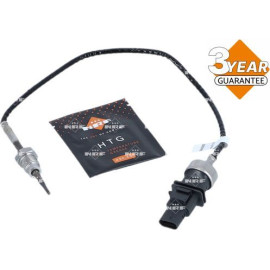 Sensor, Abgastemperatur 707388