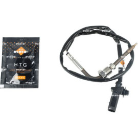 Sensor, Abgastemperatur 707487
