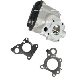 AGR-Ventil 48701 AGR-Ventil 48701