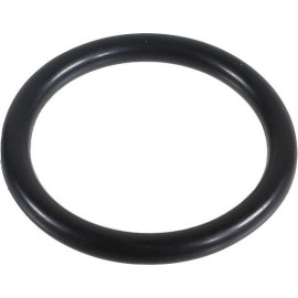 Dichtring 2430002
