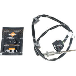 Sensor, Abgastemperatur 707472