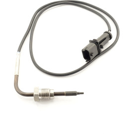 Sensor, Abgastemperatur 9 8027 1