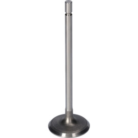 FEBI BILSTEIN 181077 Einlassventil FEBI BILSTEIN 181077 Einlassventil