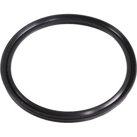 Dichtring 2430088