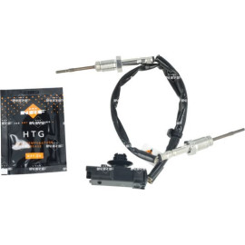 Sensor, Abgastemperatur 707481