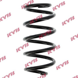 Fahrwerksfeder RG6455 Fahrwerksfeder RG6455