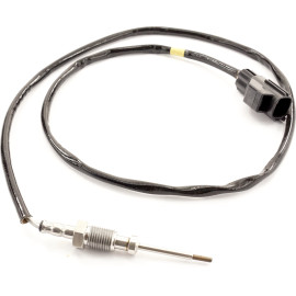 Sensor, Abgastemperatur 9 8113 1