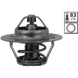 Thermostat, Kühlmittel 819946