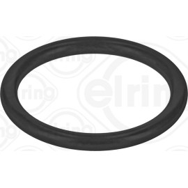 Dichtring 788.770