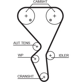 Zahnriemen 5581XS