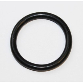 Dichtring 255.550