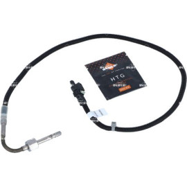Sensor, Abgastemperatur 707172