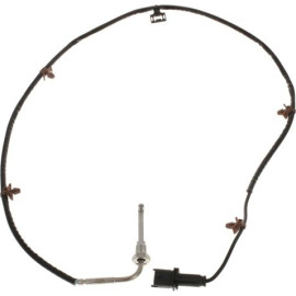 Sensor, Abgastemperatur 368940
