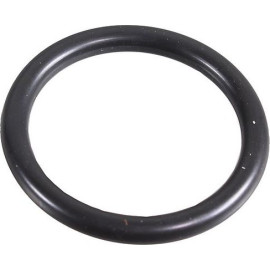 Dichtring 2430045
