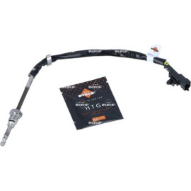 Sensor, Abgastemperatur 707136