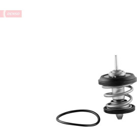 Thermostat, Kühlmittel DTM95707