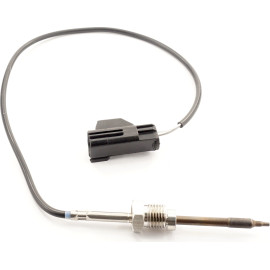 Sensor, Abgastemperatur 9 8075 1
