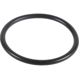Dichtring 2430015