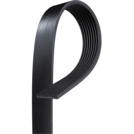 Keilrippenriemen 8PK1289HD