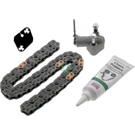 Steuerkettensatz 559 1008 10