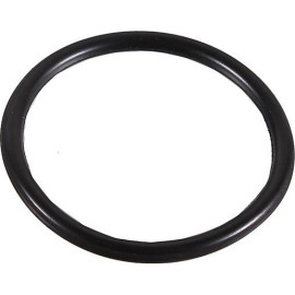 Dichtring 2430009