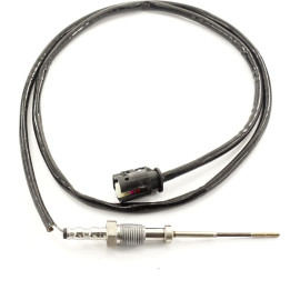 Sensor, Abgastemperatur 9 8101 1