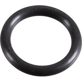 Dichtring 2430130