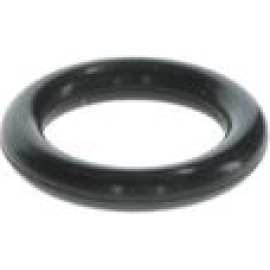 Dichtring F 00R J01 456