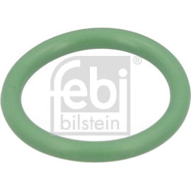 Dichtring 1001683