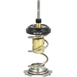 Thermostat, Kühlmittel 725093 Thermostat, Kühlmittel 725093