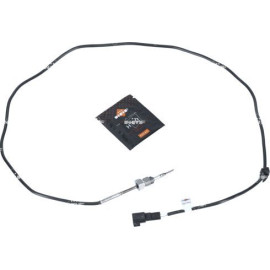 Sensor, Abgastemperatur 707391
